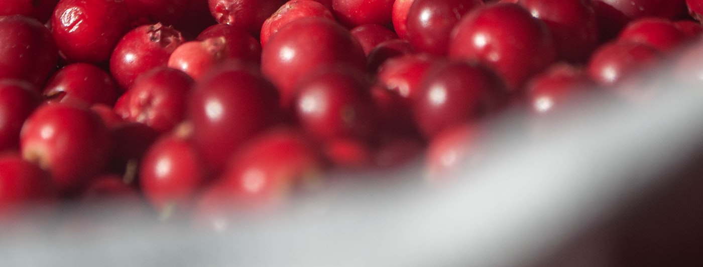A close-up of a bowl of cranberries