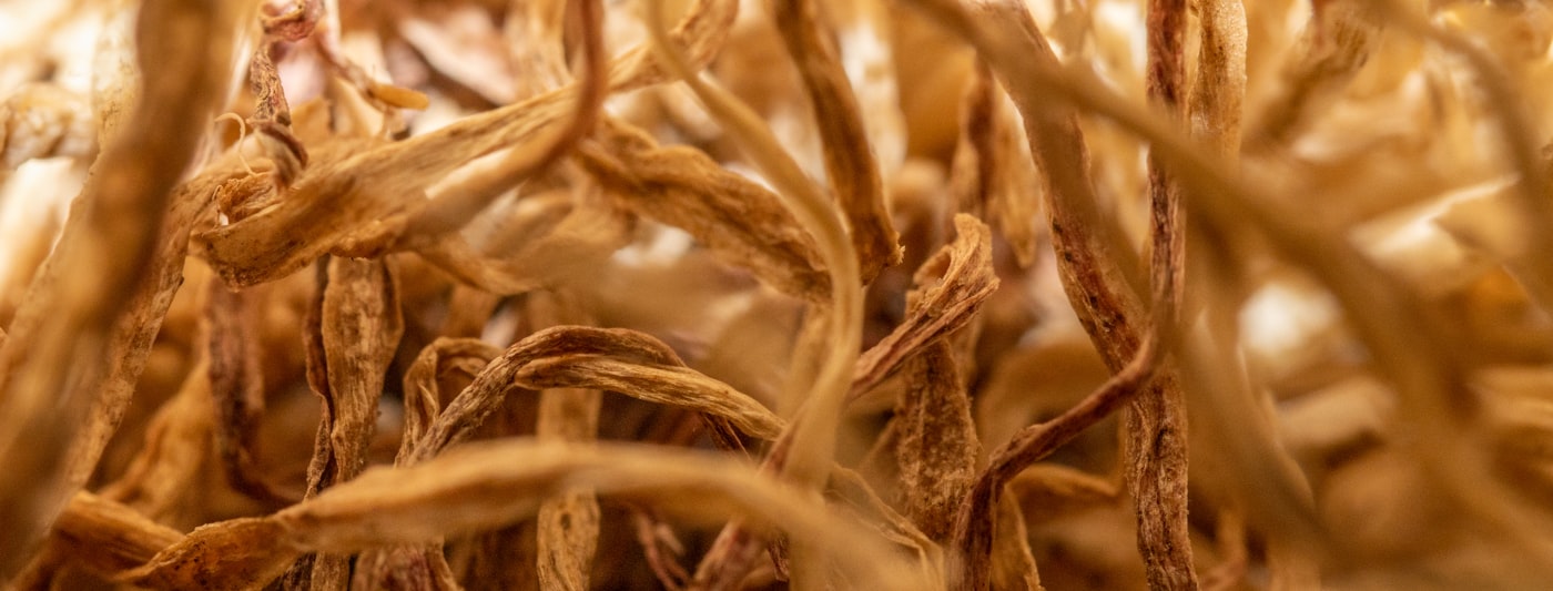 A close-up of assorted dried botanicals