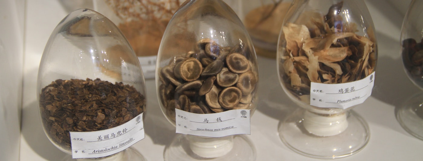 Dried botanical ingredients displayed in glass containers